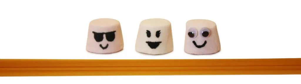 Marshmallows and spaghetti arranged for the Marshmallow Challenge, a team-building activity focused on creativity, collaboration, and problem-solving.