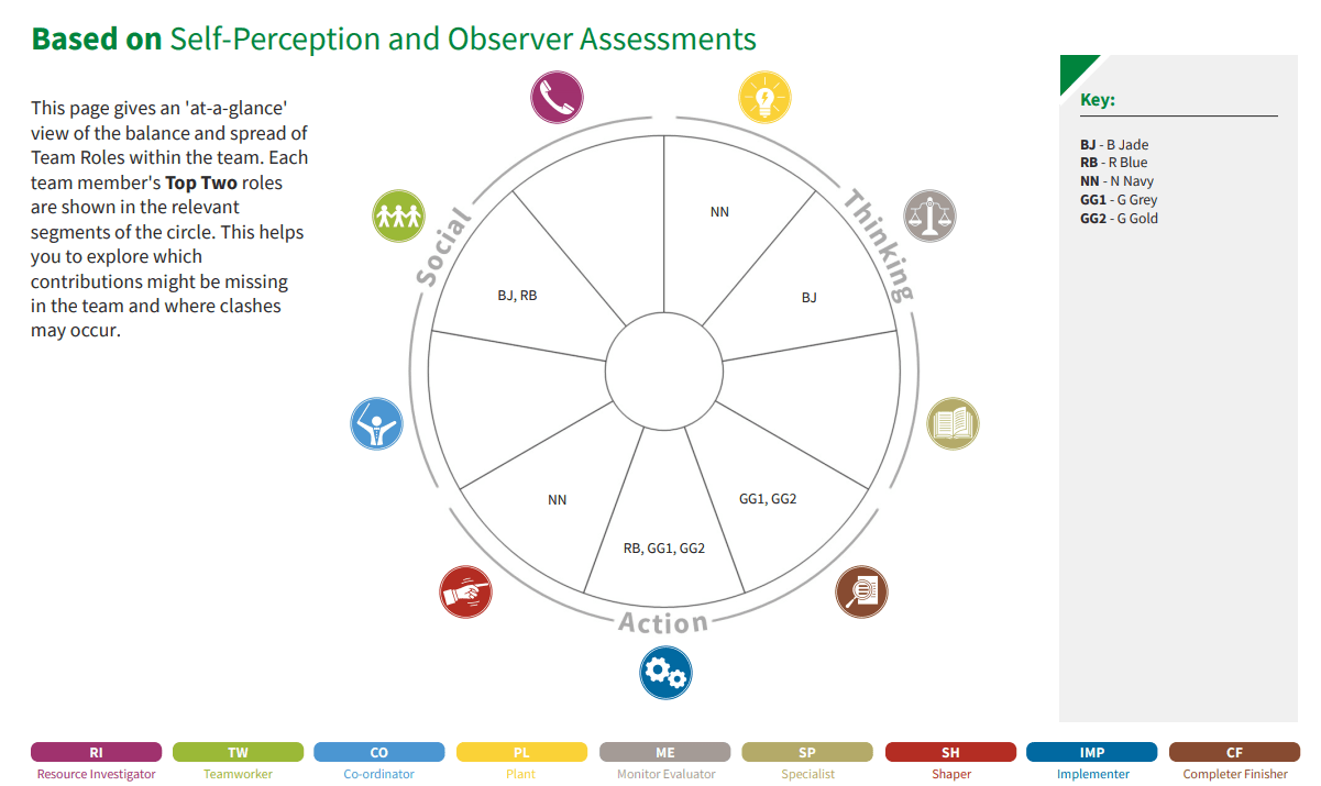 Team report showing alignment of participants with Belbin team roles based on their behaviours.