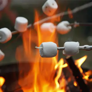 Marshmallows burning, symbolising the need for deeper, more effective experiential learning methods.