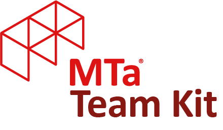 Logo for the MTa Team Kit